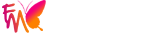 flymedia technology