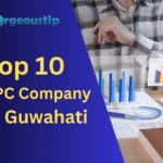 Top 10 PPC Company in Guwahati